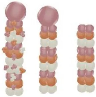 Illustration of a columns